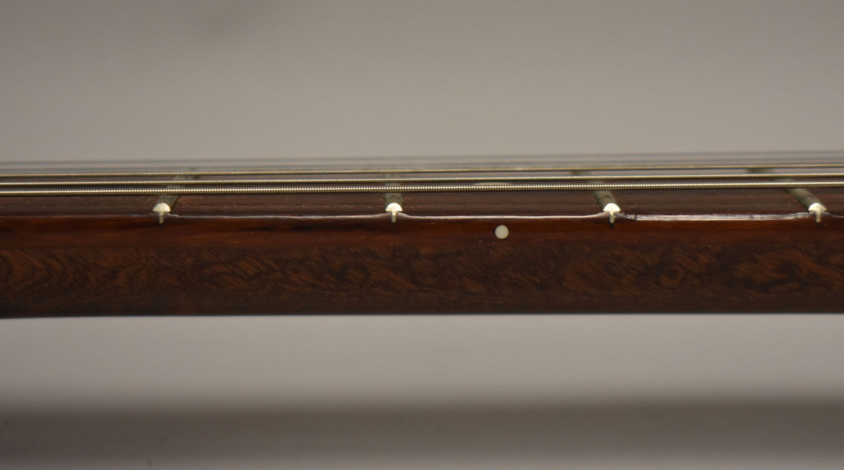 A close-up of the dark brown rosewood fretboard, showing three frets, four strings, and two small white dot inlays.