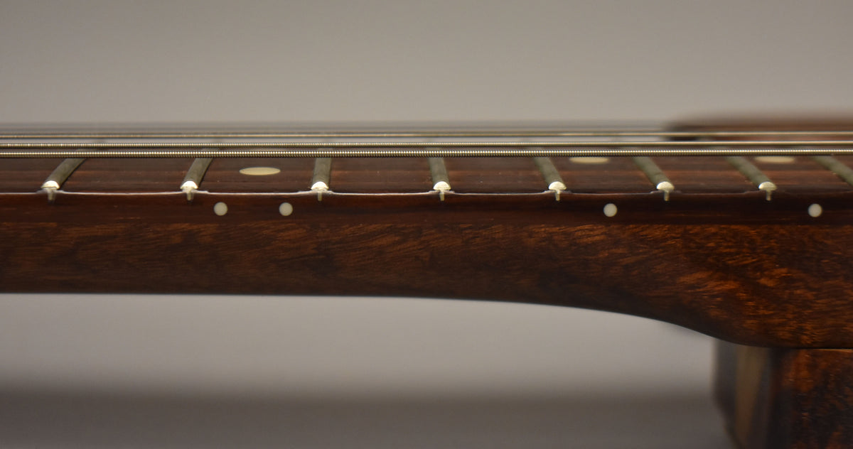 Close-up of the dark rosewood fretboard with white dot inlays and frets, showing the guitar's strings from a side angle.