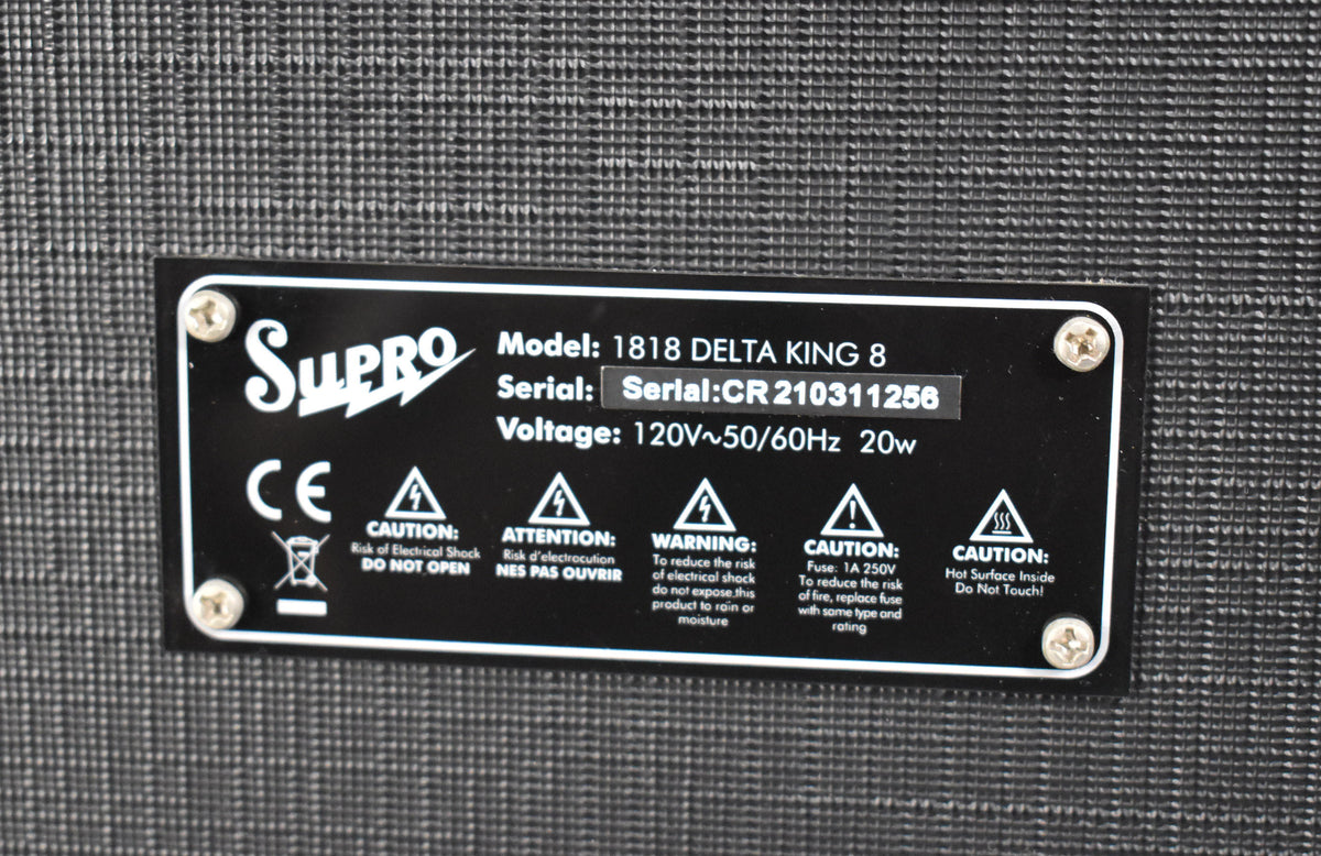 Close-up of the amp's black metal serial plate, showing model, serial, and voltage info, against a dark gray textured grille.
