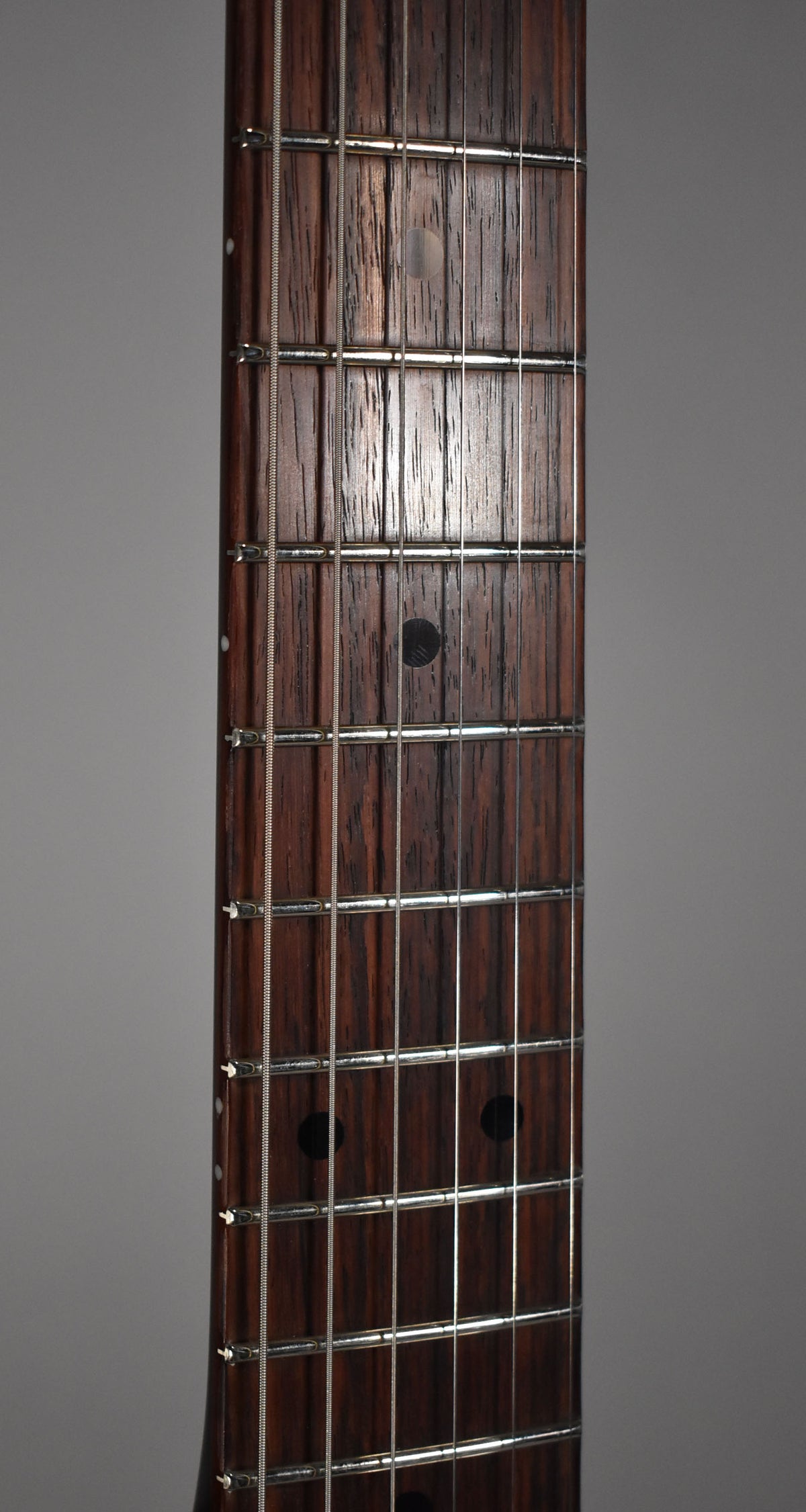 Close-up of the guitar's dark brown fretboard with silver frets and strings, showing black dot inlays and light wear.