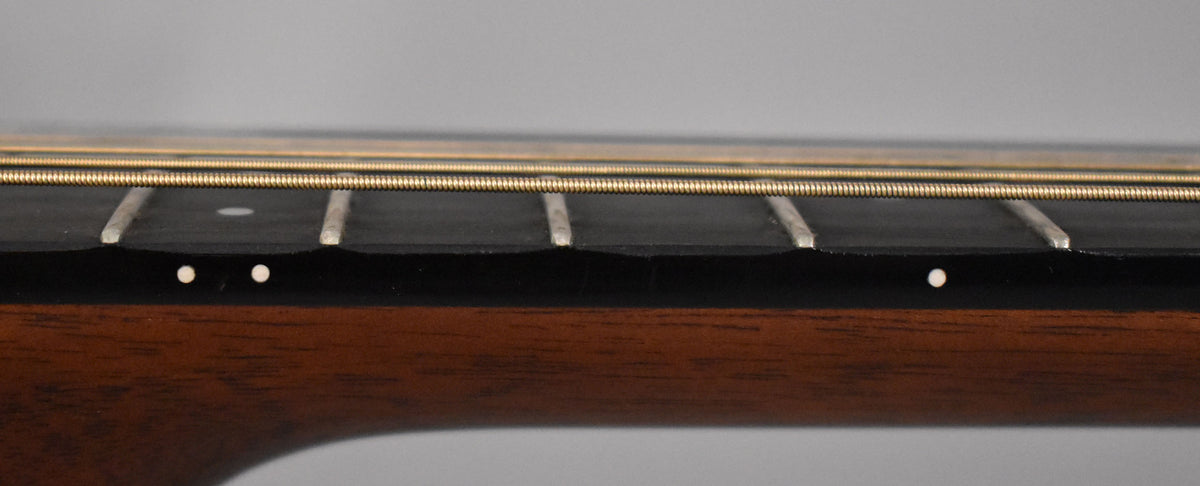 Close-up of the dark fretboard and light frets, with three strings visible and two white dot markers on the side of the neck.