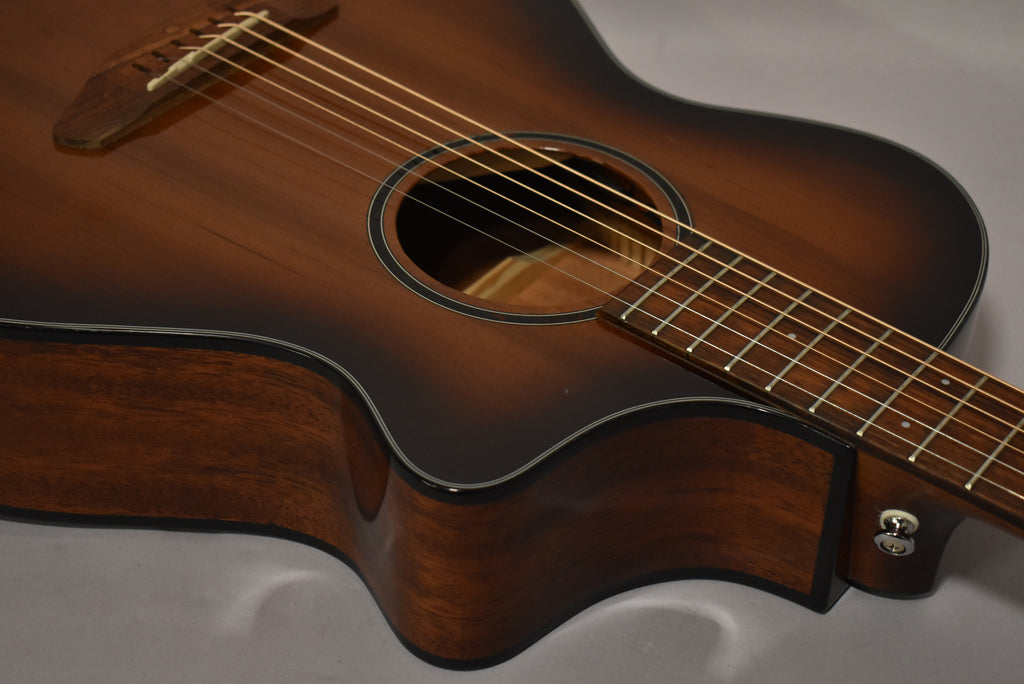 Breedlove Discovery S Concertina ED CE