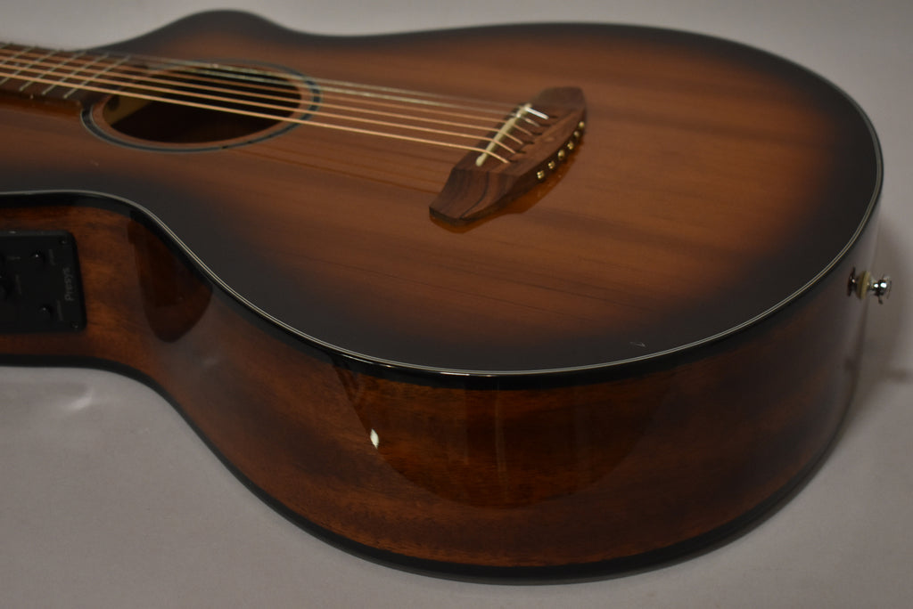 Breedlove Discovery S Concertina ED CE