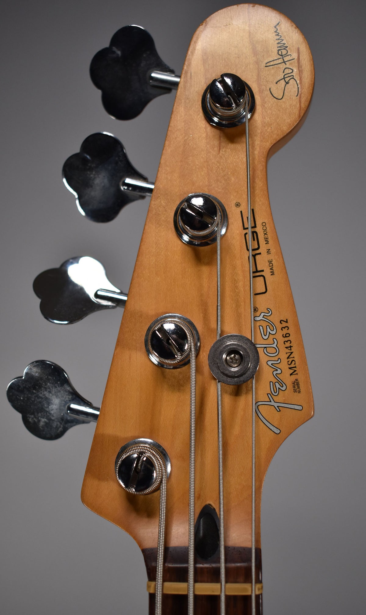 Close-up of the bass headstock, angled slightly left, showing the light brown wood, chrome tuners, and a dark brown fretboard.