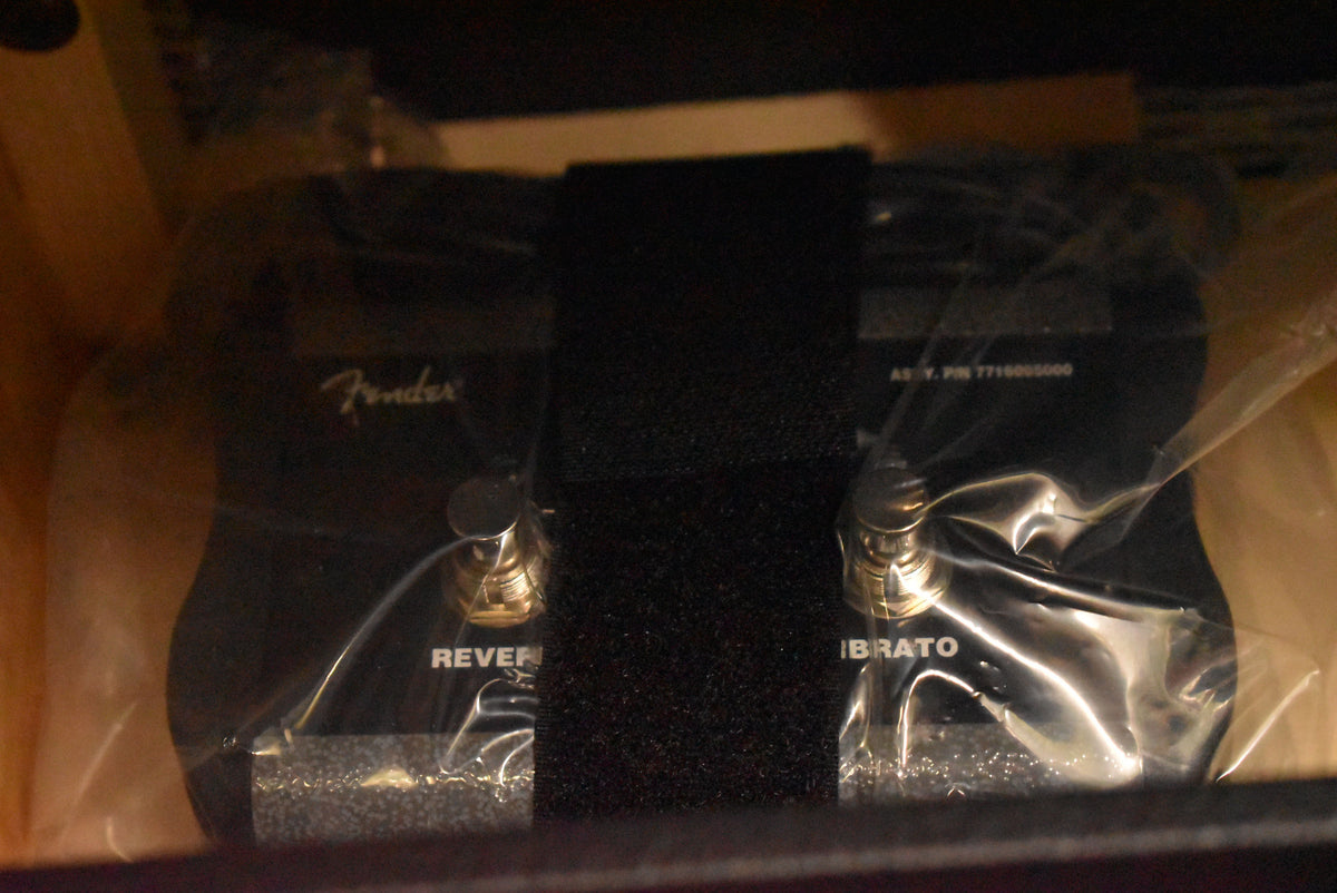 A black two-button footswitch, labeled "REVERB" and "VIBRATO", is visible in its clear plastic bag, held by a black strap.