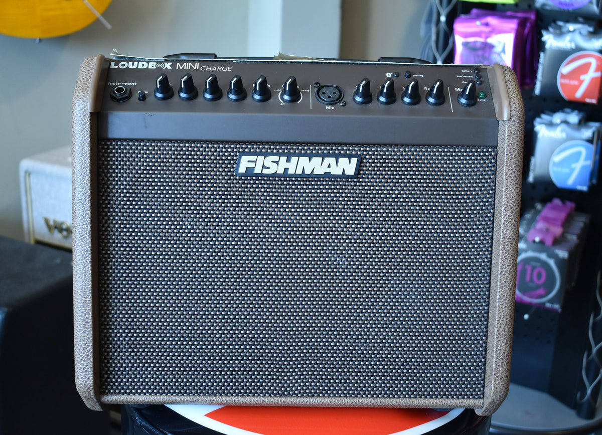 Front view of a brown acoustic amplifier with a dark gray control panel, black knobs, and a woven speaker grille.