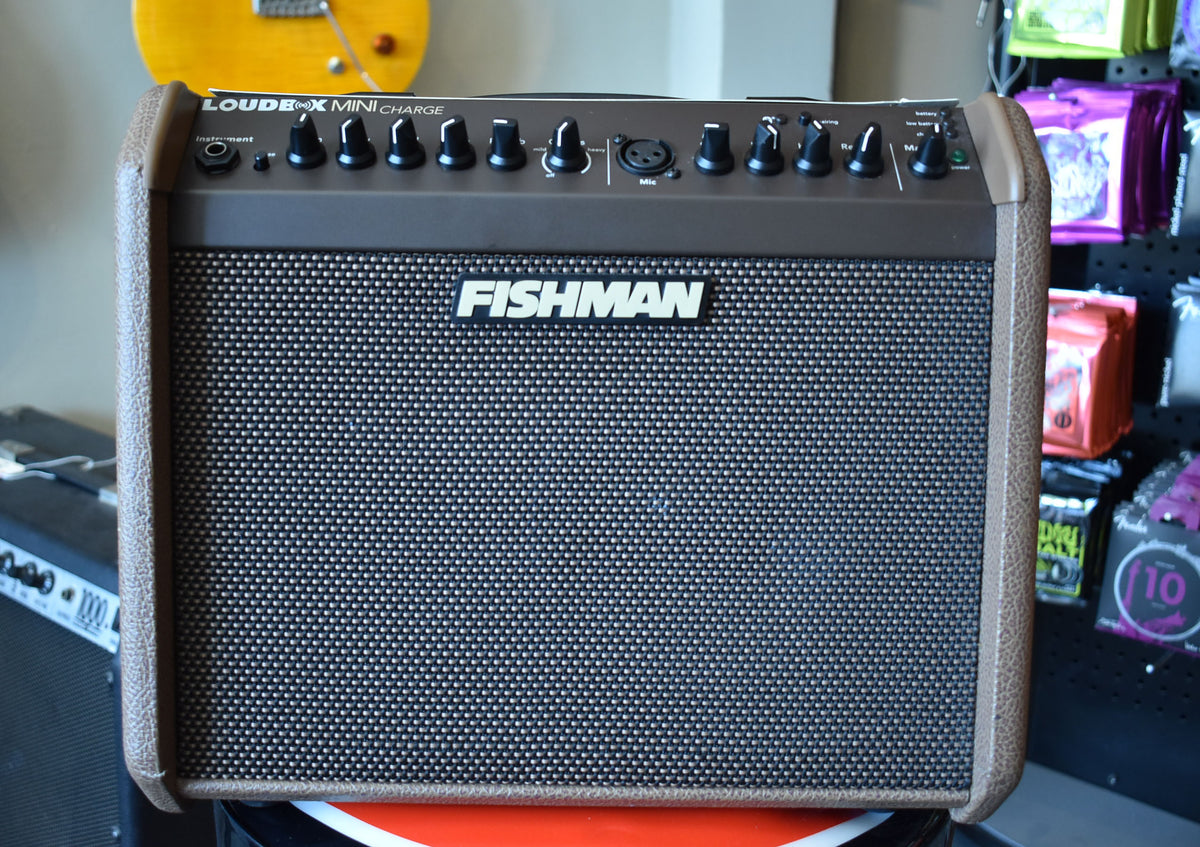 A brown acoustic amplifier with a dark gray speaker grille, featuring a top control panel with multiple black knobs and input jacks.