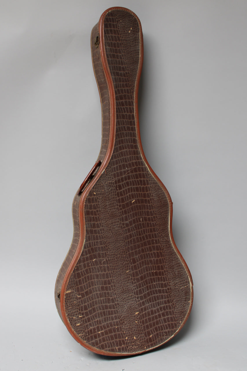 A dark brown snakeskin-patterned guitar case stands upright, showing its back with a reddish-brown binding and some wear.