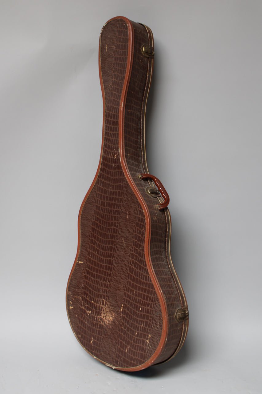 A brown snakeskin-patterned guitar case stands upright, showing its side profile with a worn handle and latches.