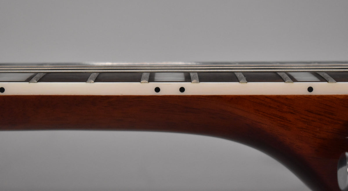 Close-up of the guitar's dark brown neck and light cream binding, showing black side dot markers and frets with strings above.