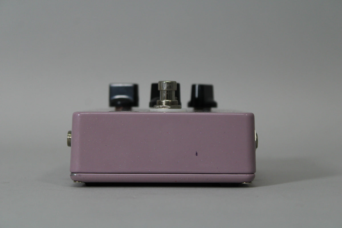 HomeBrew Electronics Mimic Analog Delay Mock 1
