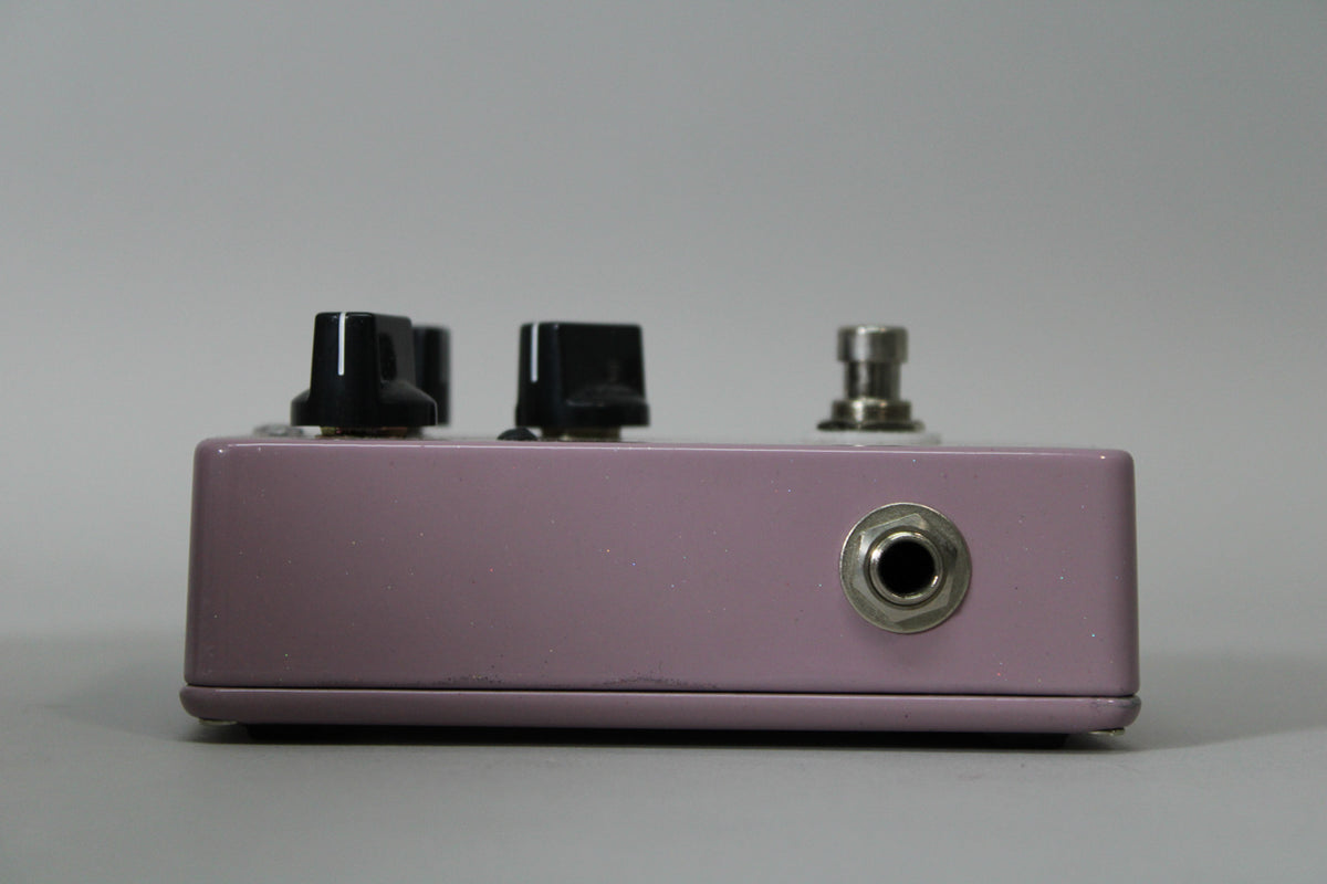 HomeBrew Electronics Mimic Analog Delay Mock 1
