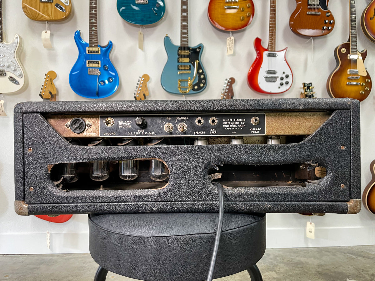 Rear view of a black textured amp head with a gold control panel, showing power input, fuse, and speaker jacks.