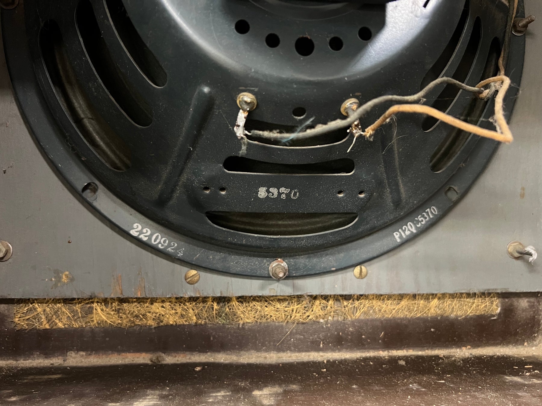 Close-up of the amplifier's black speaker cone and frame, showing exposed wiring and a straw-like insulation material at the bottom.