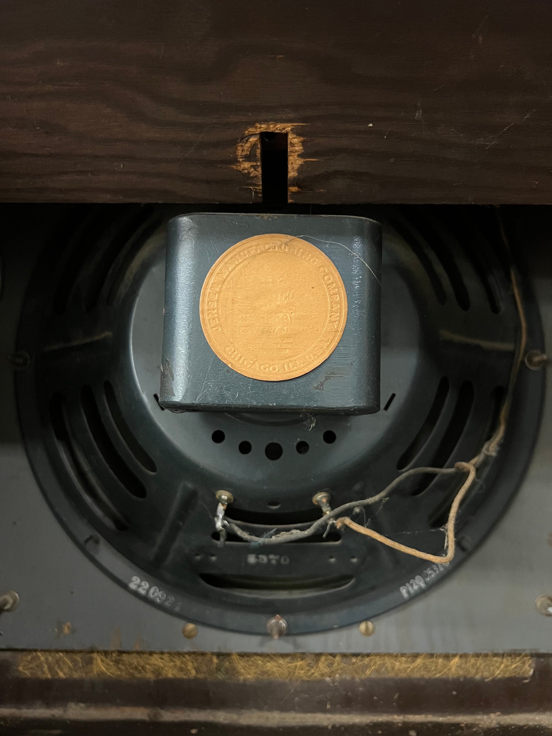 Close-up of the amp's dark gray speaker, showing its magnet with a round gold label, and exposed wires.