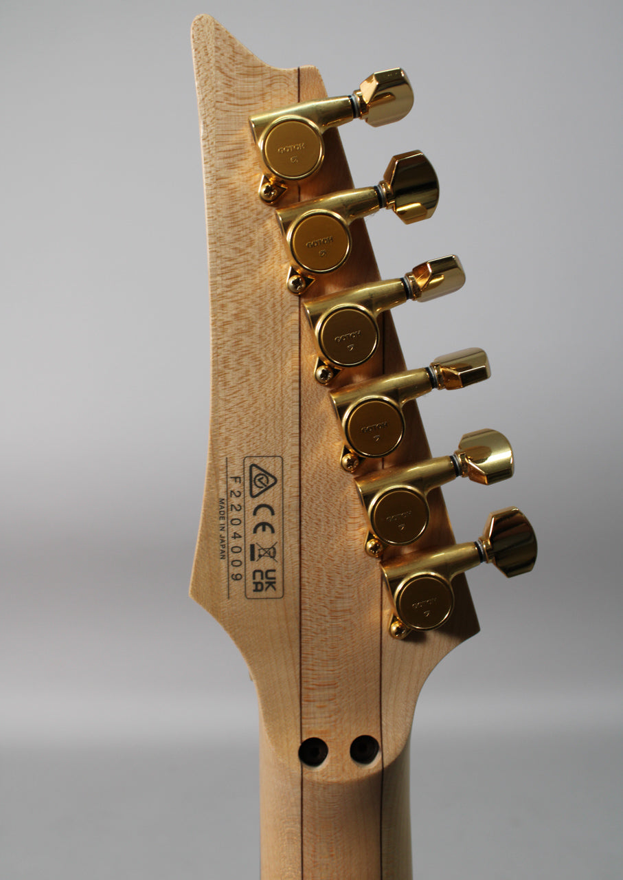 The back of a light wood headstock with six gold tuning pegs, angled slightly left, showing the serial number.