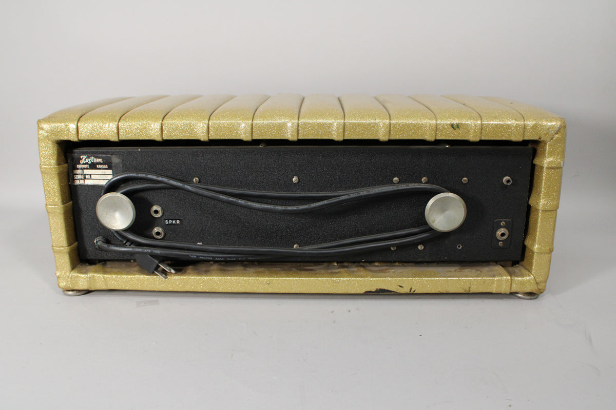 Rear view of the gold sparkle PA head, showing the black control panel with two large silver knobs, various jacks, and a power cord.