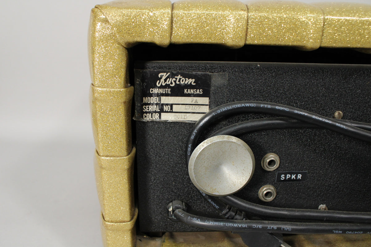 Close-up of the amp's gold sparkle tuck-and-roll side and black back panel with a silver knob, two speaker jacks, and cables.