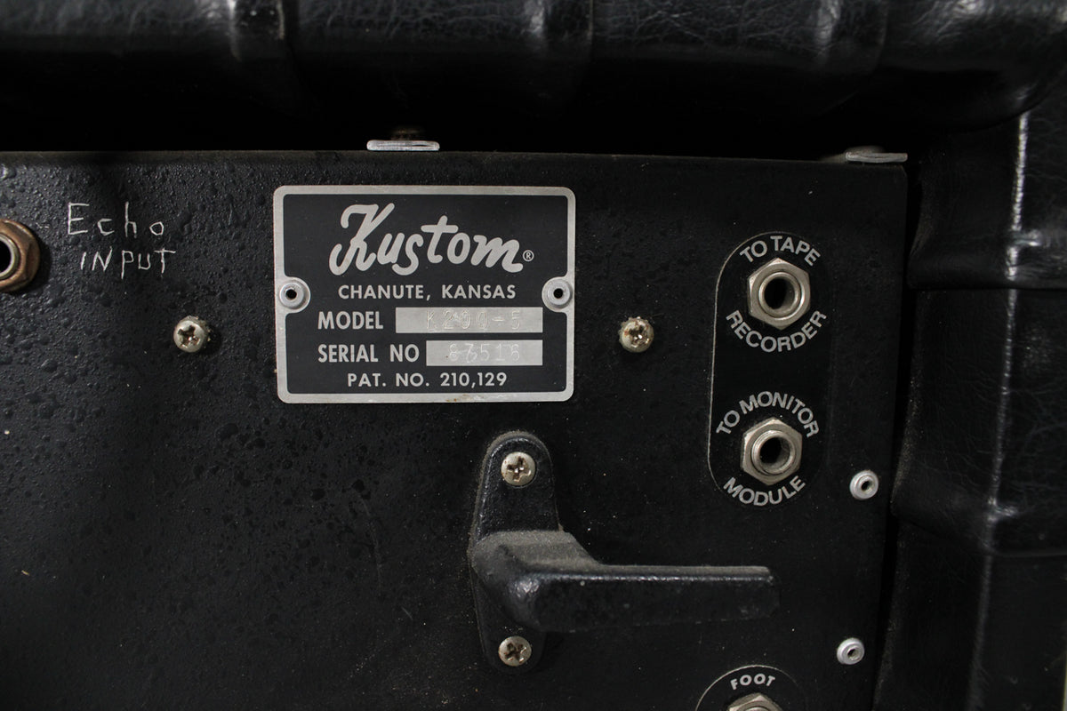 Close-up of the black amp's rear panel, showing the silver serial plate, "Echo INPUT" jack, and "TO TAPE RECORDER" and "TO MONITOR MODULE" jacks.