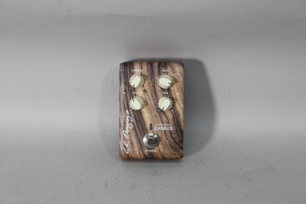 LR-Baggs-Align-Series-Chorus-1