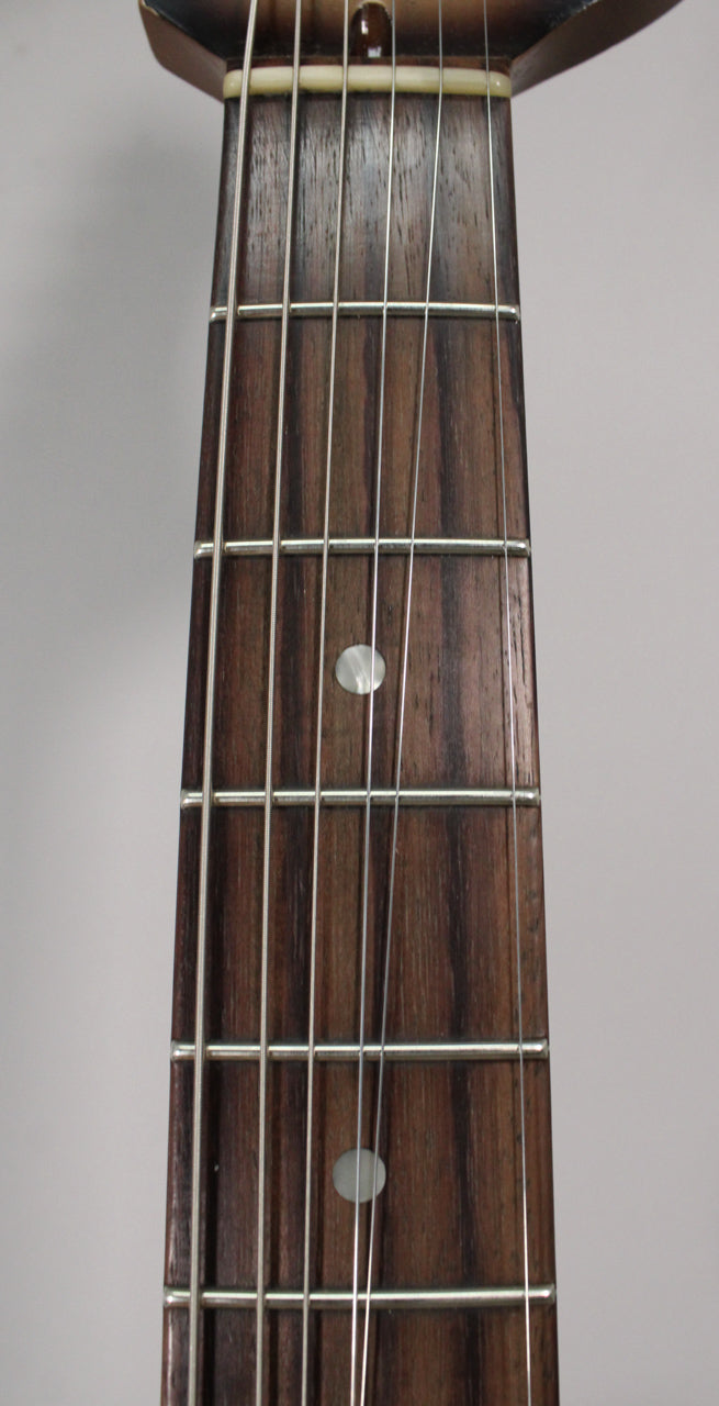Close-up of the dark brown fretboard with six strings, frets, and two round, pearlescent dot inlays.