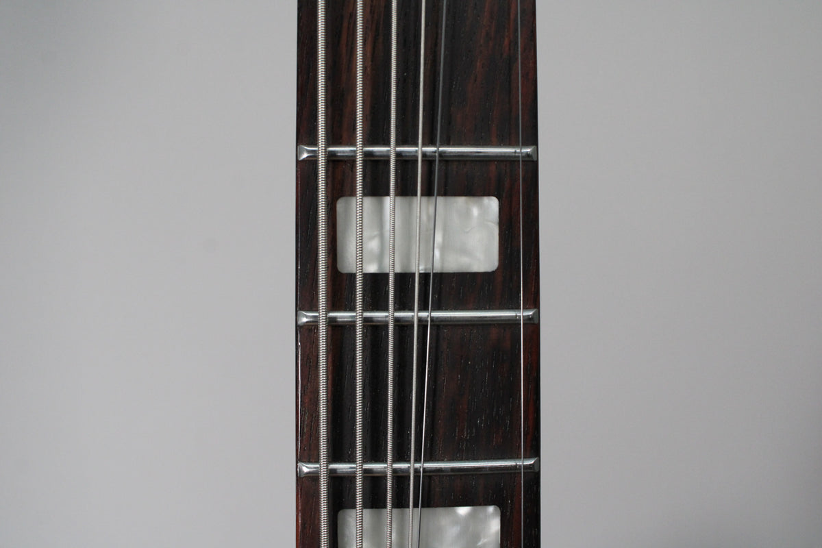 Close-up of a dark wood fretboard with five strings, frets, and rectangular mother-of-pearl inlays.