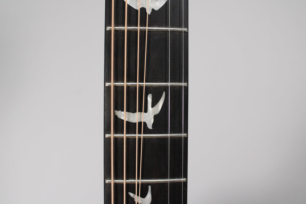 Close-up of the dark rosewood fretboard with light-colored bird inlays and four bronze-colored strings.