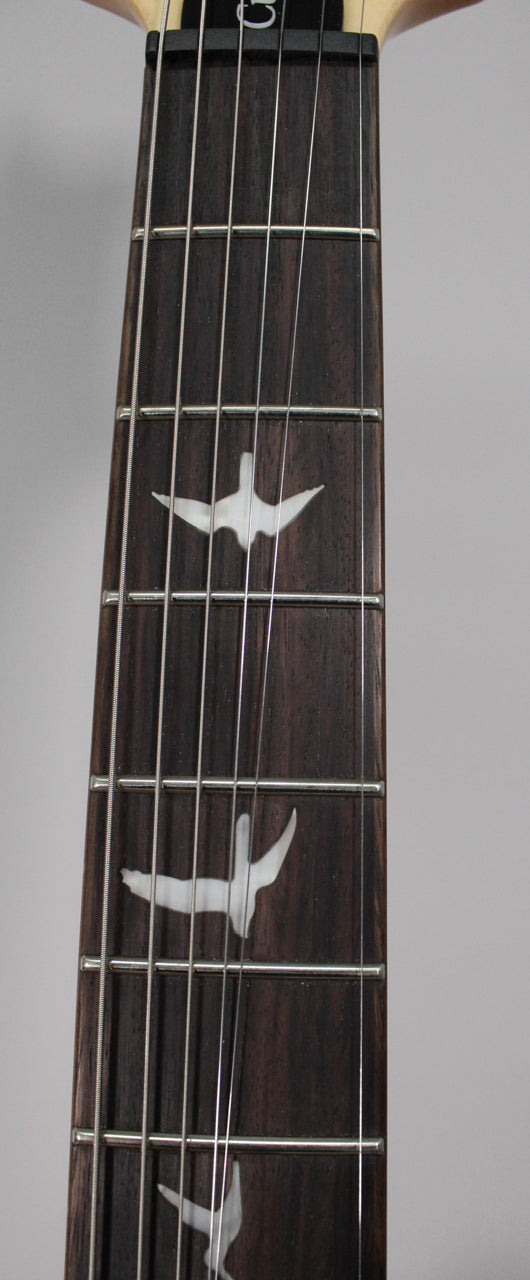Close-up of the dark rosewood fretboard with silver frets and white bird inlays, showing the nut and first few frets.