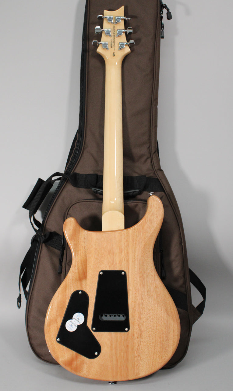 The guitar's back, neck, and headstock are visible, showing a natural wood finish with a brown gig bag behind it.