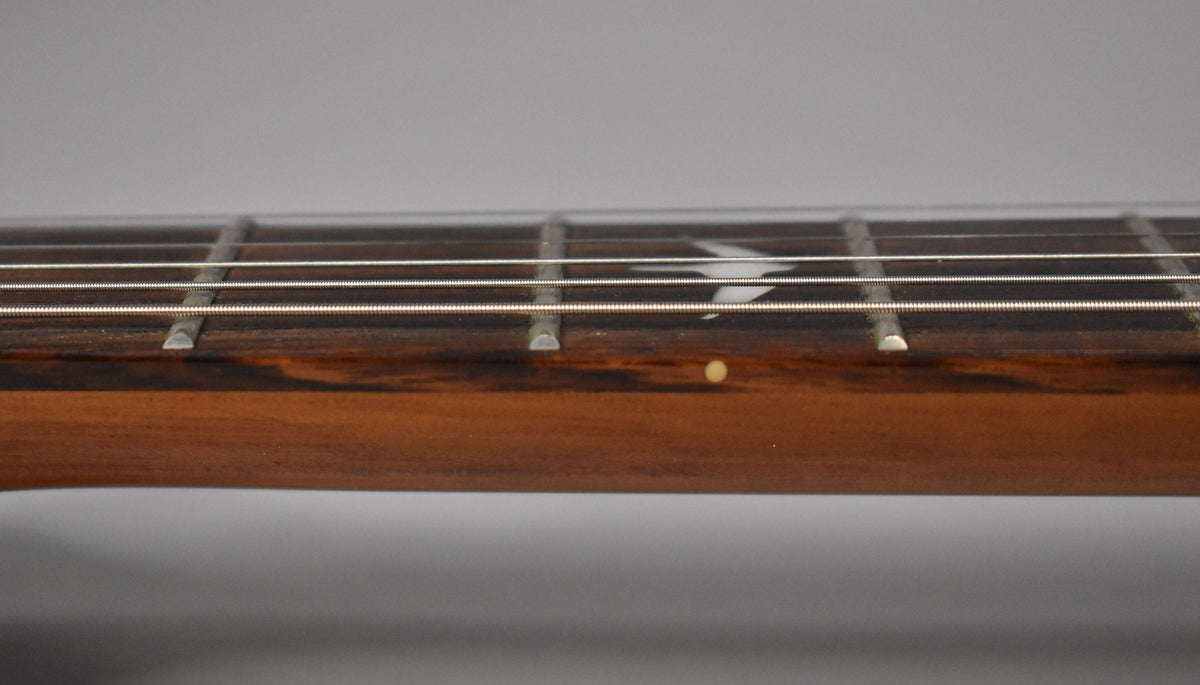 Close-up of the guitar's dark brown fretboard and neck, showing a white bird inlay and a light yellow side dot.