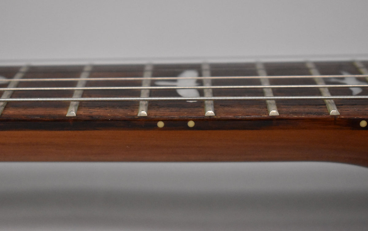 Close-up of the guitar's dark brown fretboard from the side, showing silver frets, white bird inlays, and cream side dot markers.