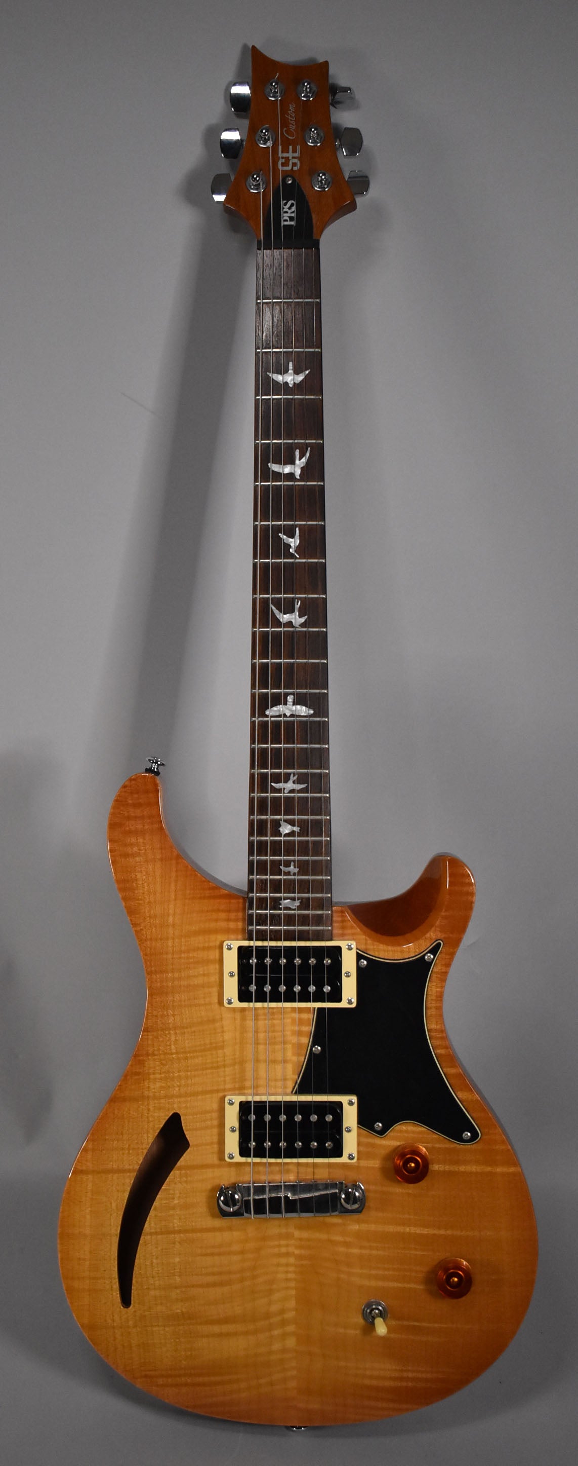 Full-length view of a semi-hollow electric guitar with a sunburst finish, f-hole, black pickguard, two humbuckers, and bird inlays.