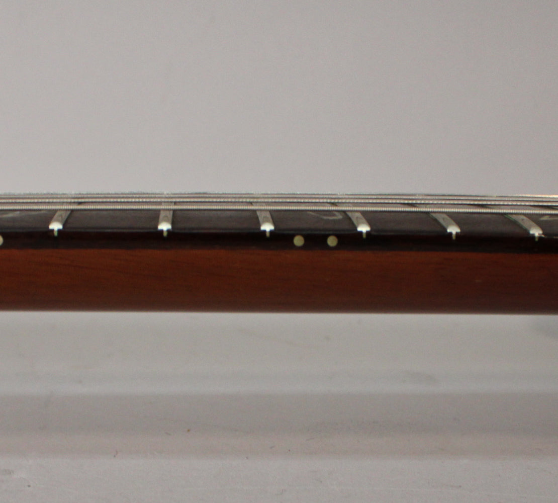 Close-up of the guitar's dark brown neck and fretboard from the side, showing frets, strings, and two small circular position markers.