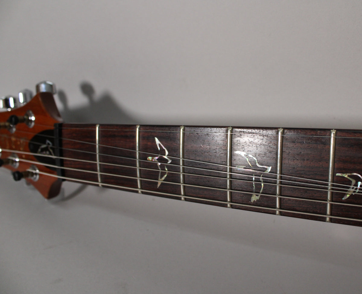 Close-up of the dark rosewood fretboard with mother-of-pearl bird inlays, showing light wear and reflections on the frets.