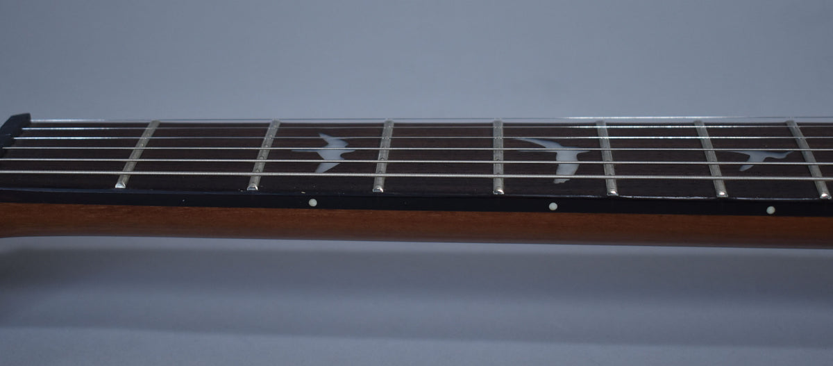 The guitar's dark fretboard, with white bird inlays and side dots, is viewed from the side, showing the nut and first few frets.