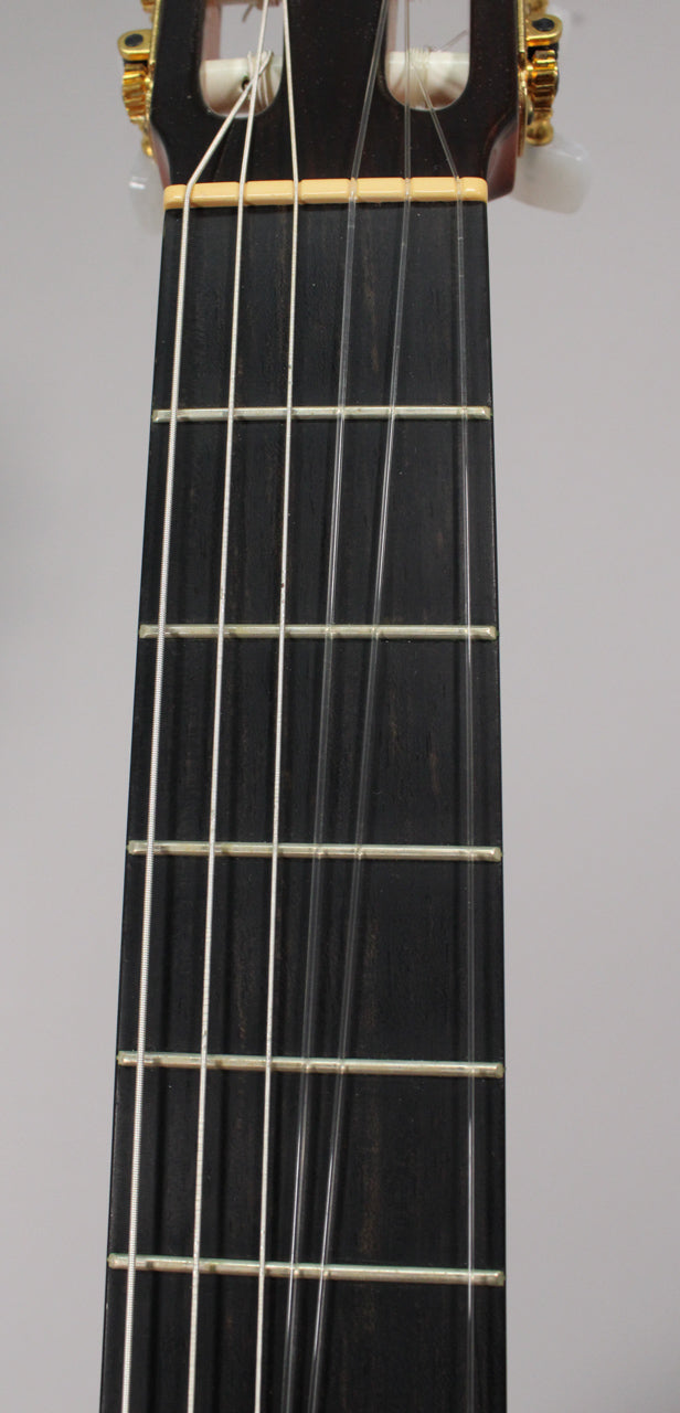 A close-up of the guitar's dark fretboard and nut, showing six clear strings and gold tuning pegs on the headstock.