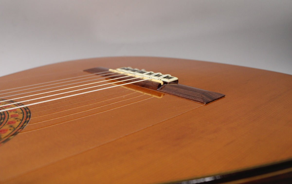 Close-up of the classical guitar's light brown top, showing the dark wood bridge, white saddle, and six white nylon strings.