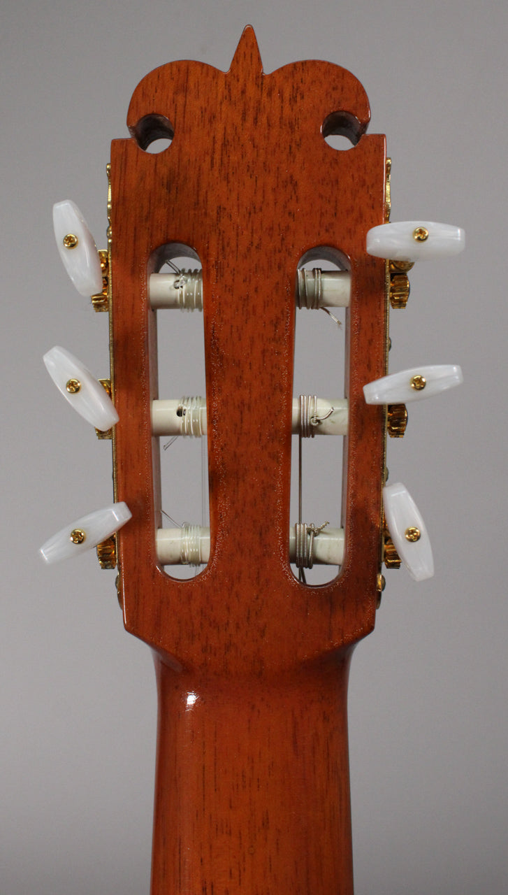 Rear view of the guitar's headstock and upper neck, showing a dark wood finish, gold tuners, and white pearloid buttons.