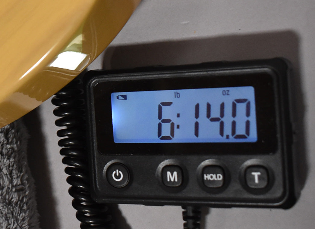 The butterscotch guitar body is partially visible next to a digital scale displaying "6:14.0 lb oz".