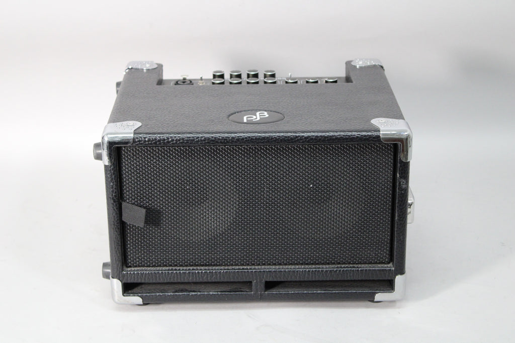 Phil-Jones-Bass-Bass-Cub-BG-100-Combo-Amplifier-2