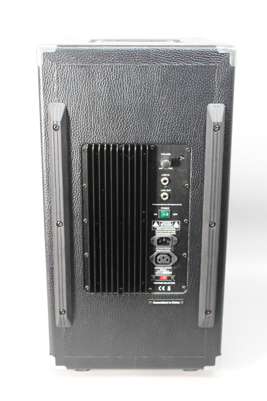 Rear view of the black textured speaker cab, showing the control panel with volume knob, line in/out, power switch, and power sockets.