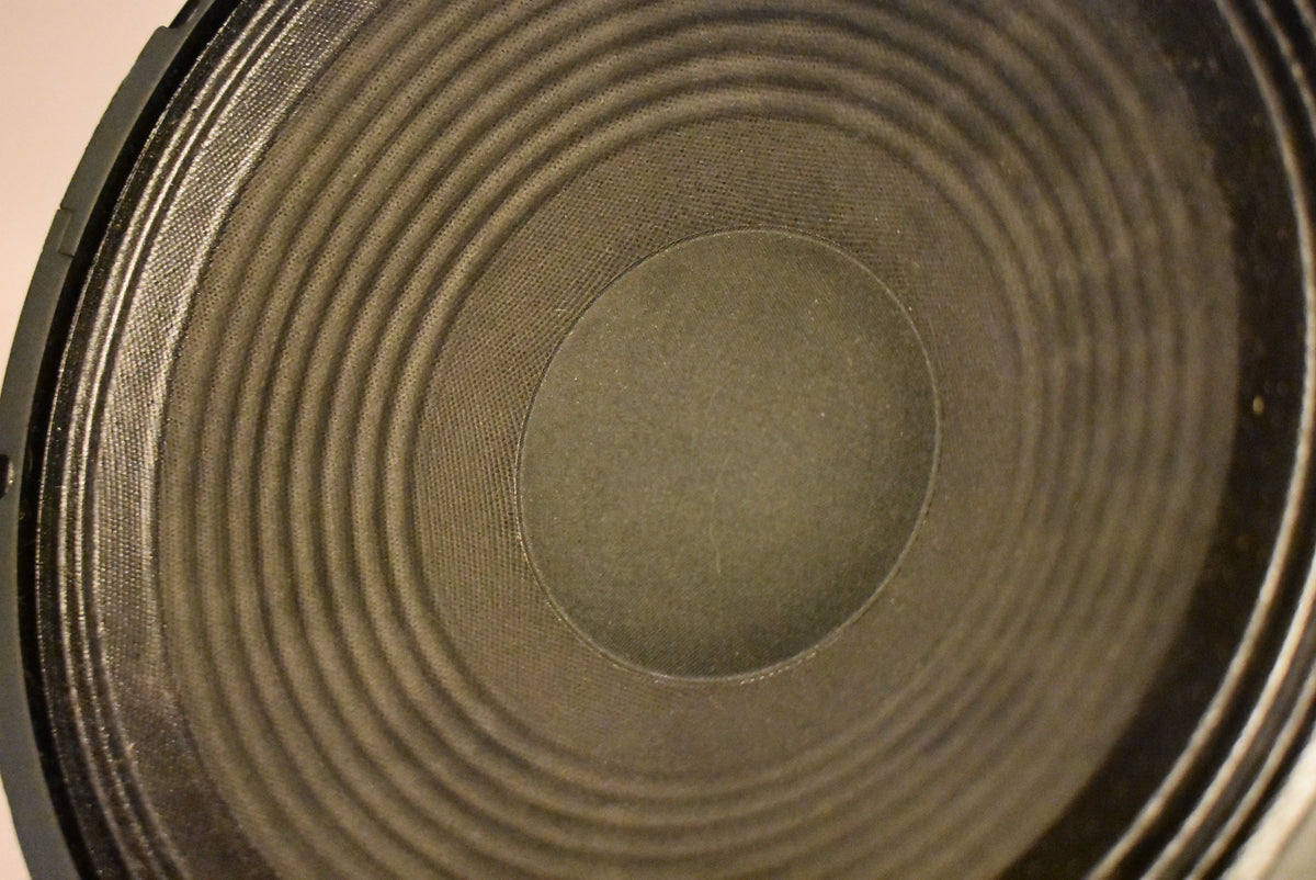 Close-up of the speaker cone, showing its textured, dark gray surface with concentric rings and a smooth, darker center cap.