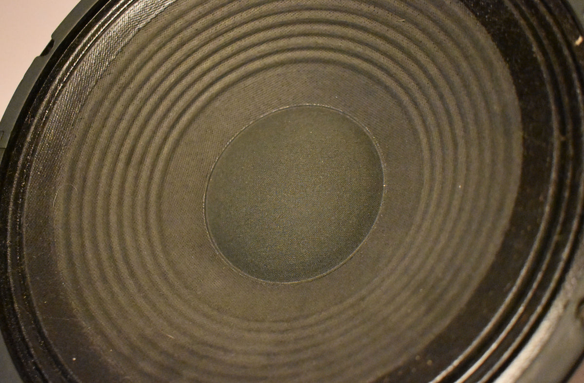 Close-up, slightly angled view of the dark gray speaker cone with concentric rings and a central dust cap, showing minor dust.