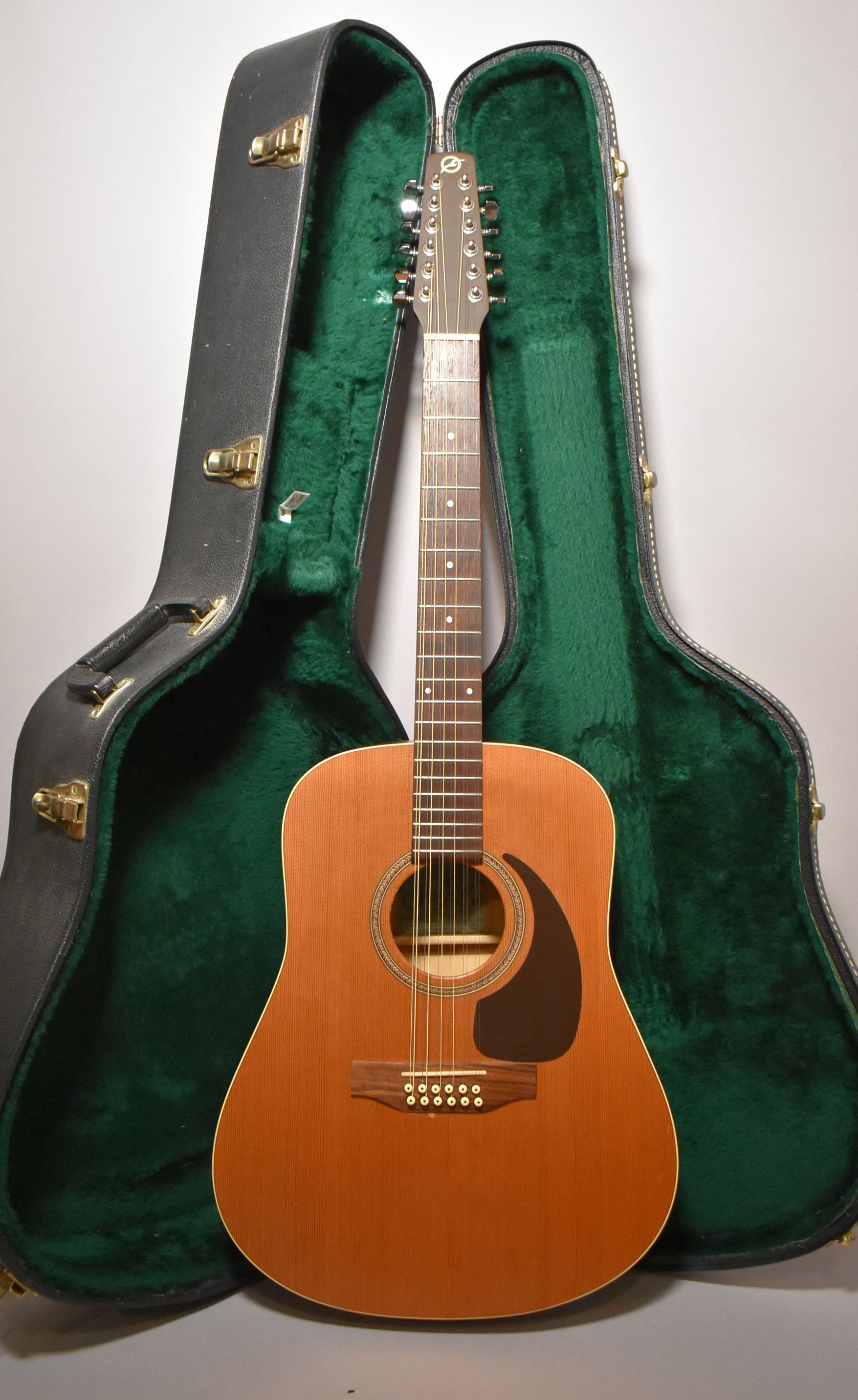 Seagull Coastline S12+ Cedar 12-String Acoustic Natural Finish w