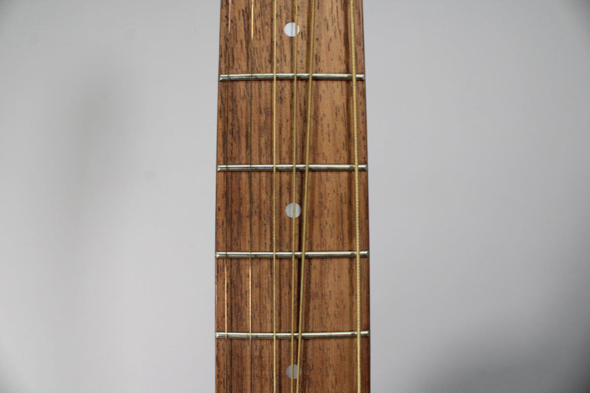 Close-up of the guitar's dark brown fretboard with light wood grain, showing five frets with silver wires and two white dot inlays.
