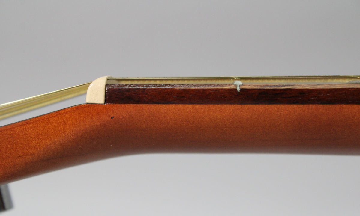 Close-up of the guitar's neck and nut, showing the light-colored nut, dark fretboard, and a small ding on the neck.