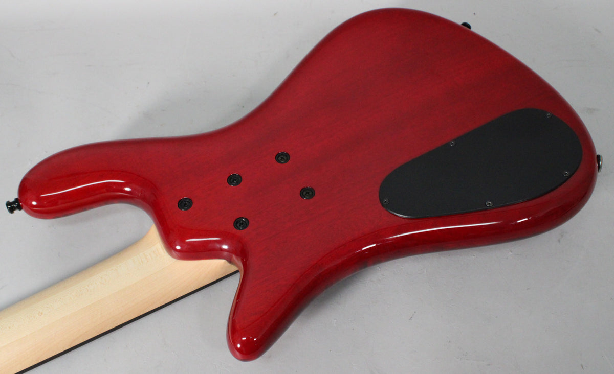 The bass guitar's back is a glossy dark cherry red with a visible wood grain, featuring a black control cavity cover and a light maple neck.