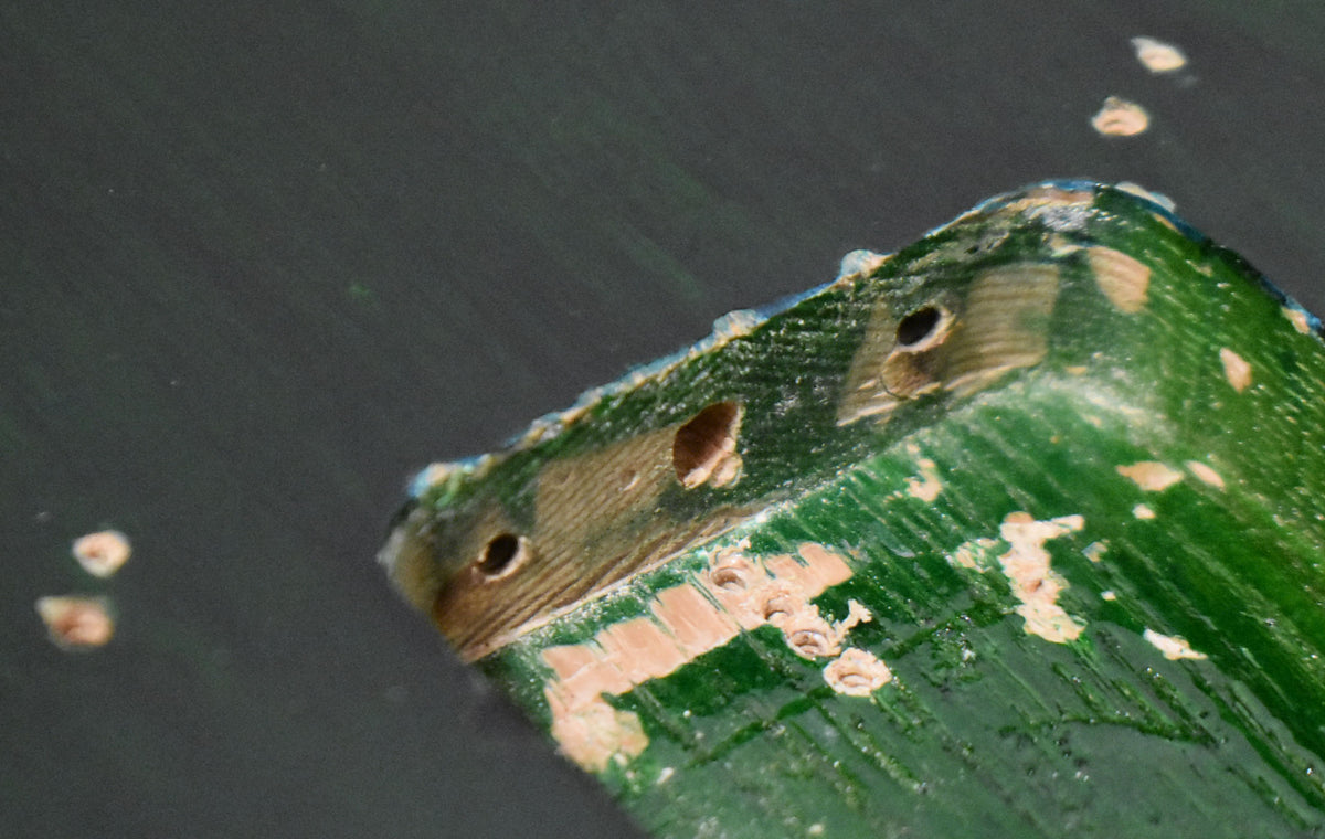 Extreme close-up of the body's lower horn, showing green finish wear, exposing wood grain, and three small screw holes.