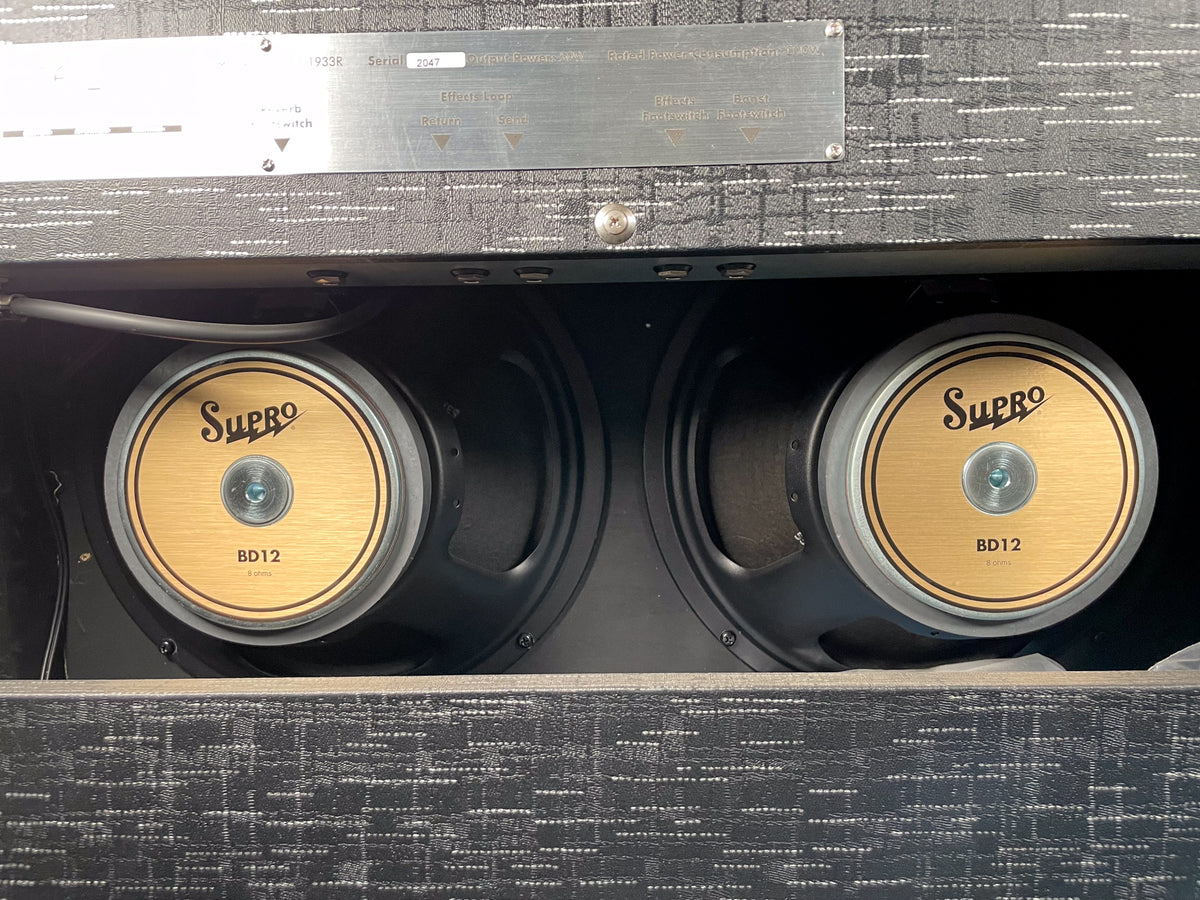 Close-up of the amp's two gold-coned speakers, with a metal control panel visible above showing "Effects Loop" and "Reverb" labels.