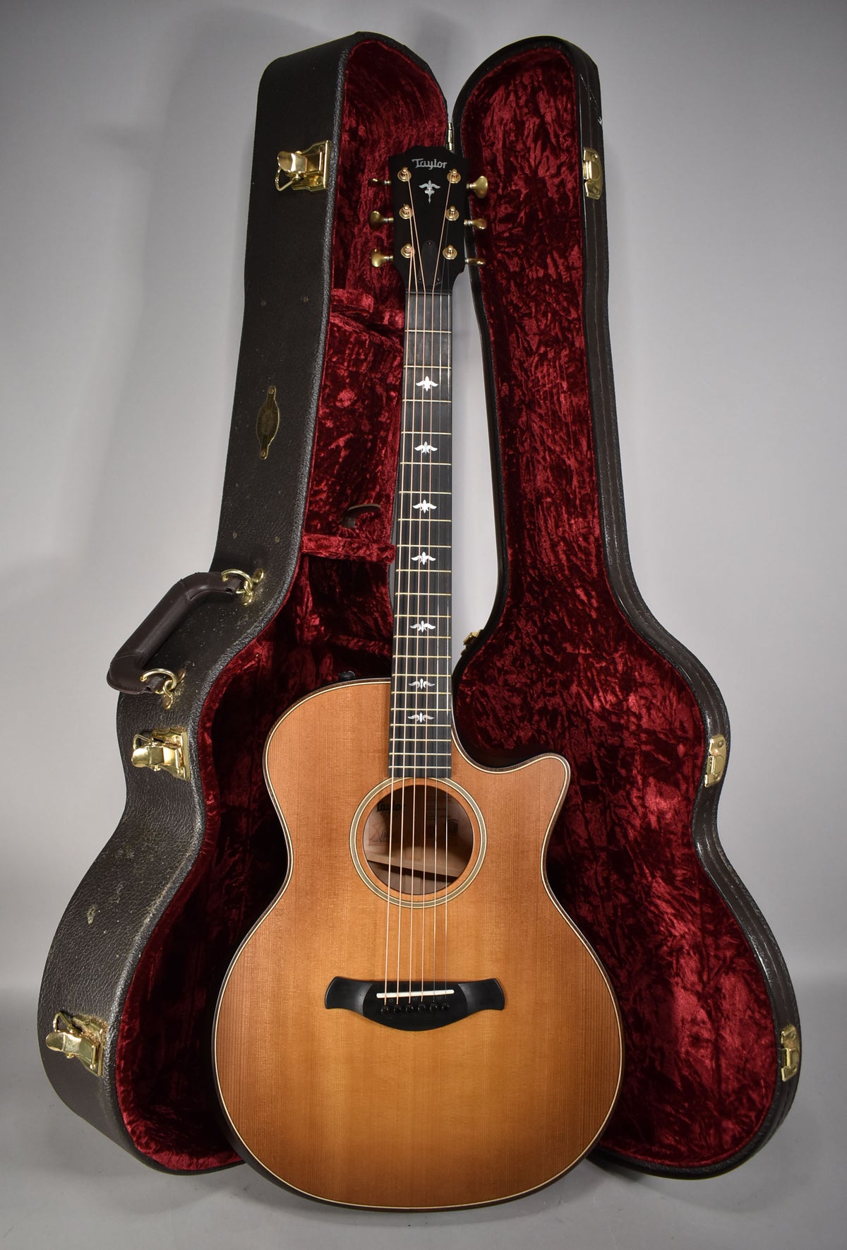 Full-length view of a honey burst acoustic guitar with a cutaway, gold tuners, and white bird inlays on the fretboard, standing in its open, red-lined case.